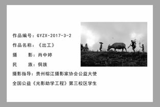 “映”字的含义（光影与回响）