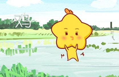 属马和属鸡的婚配是否和谐，他们的姻缘有何特点？