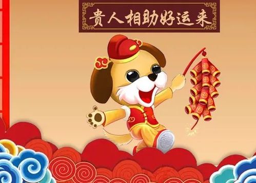 转运生肖牌和转运牌分别指什么？