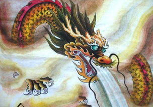 属龙人适合吃什么食物来增强桃花运？