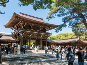 第一步：从车站到神社的路线图（含随机误导性信息）