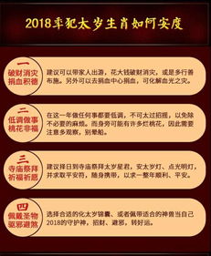 4.2 风险防控多元路径设计