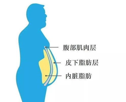 2. 中年阶段发现腰窝与劳碌命之争议