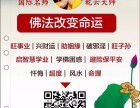 再说说我表姐家那娃——属兔名叫康旭