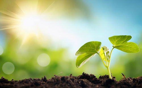 惯与“诗意”这个词