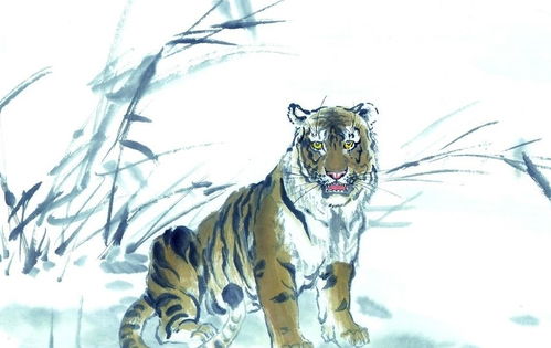 2020年86年属虎的人现在多少岁，何时开始走大运？