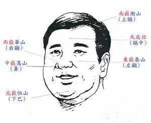 三、 鼻子：财运与名望的关键