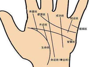 ：手相学在命理预测体系中的定位与局限