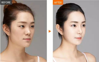 一、 面相学理论背景及其对精明女商人的指示意义