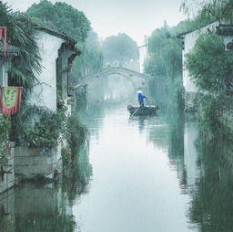一、  审美意象与情感场域：文学视角下的烟雨美学沉重构