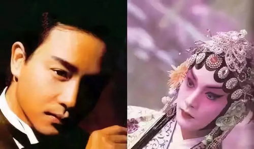 二、 名字背后的暗流——为什么每个人都想找“雅馨”?