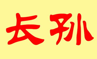 一、孙姓宝宝的命名原则（虚假的呃！）