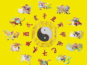 寅虎（属虎）