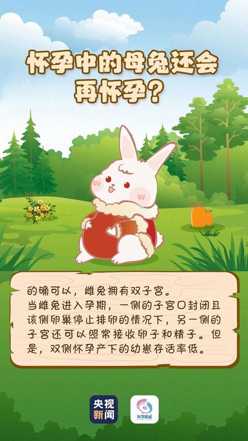 ：黑兔年（2023）属羊者的生育适宜性及整体运势概述