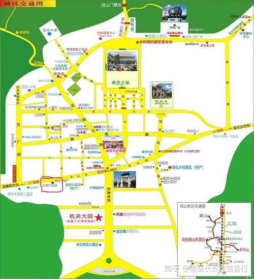 五行命理对应策略细分