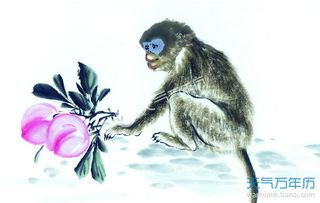 三、 农历三月出生之属猴者的人际优势及事业发展