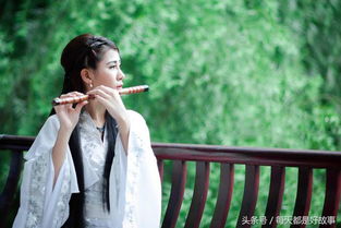 1.2《秋怀》——连文凤对秋景情感的抒发