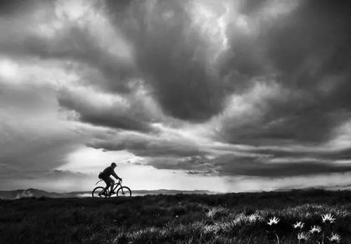 伤官伤尽八字如何调整，能否改善运势？