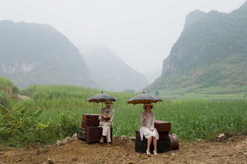 2. 植物配置与自然屏障构建