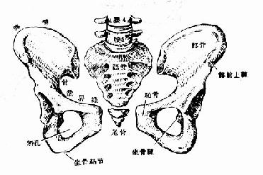 三、 现代医学视角下对上述关联性的批判性审视