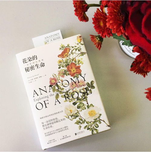 名字的魔力与花姓的底蕴