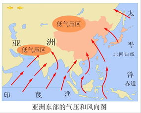 1.2 海鸟行为：迁徙模式作为风向预警