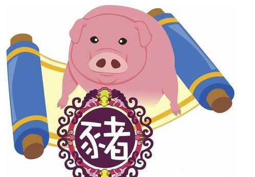 属猪的人最近运势如何？运势变化有哪些表现？