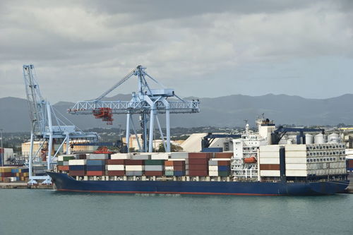 2月18日出生的人究竟属于哪个星座呢？