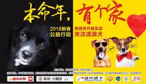 本命年狗年需要注意什么，本命年能不能吃狗肉有什么讲究？