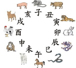 2005年属相的人是水命吗，这究竟是什么含义？