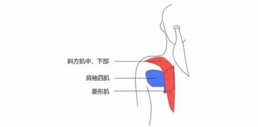 ：溯源古训， 探寻生命之本