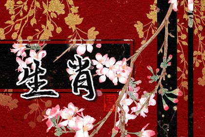 （一） 生肖冲煞的深层逻辑