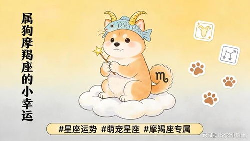 2026年属狗人的全年运势和财运排名具体是什么含义？