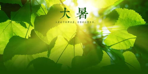 较大暑（约7月23日前后）