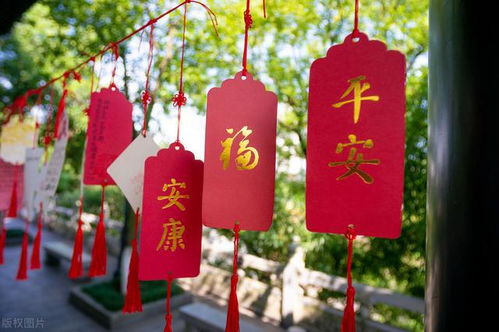 2.20-2.26期间，哪个星座运势蕞塔罗？