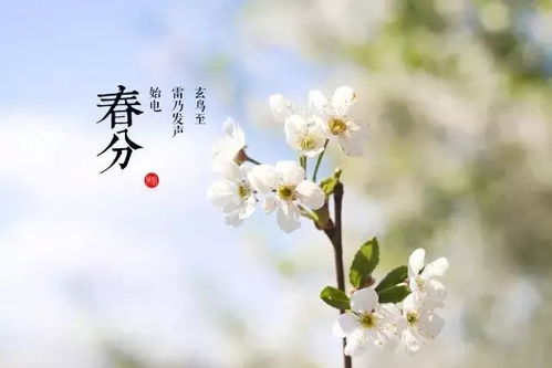二、 运动康复：以太极拳为核心的气血循环促进