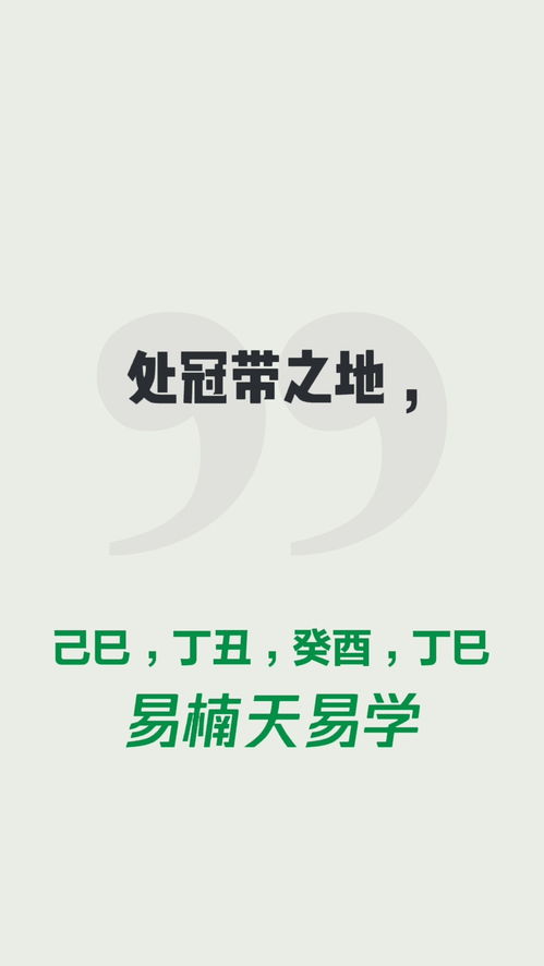 我的八字事业运势如何，能详细分析一下吗？