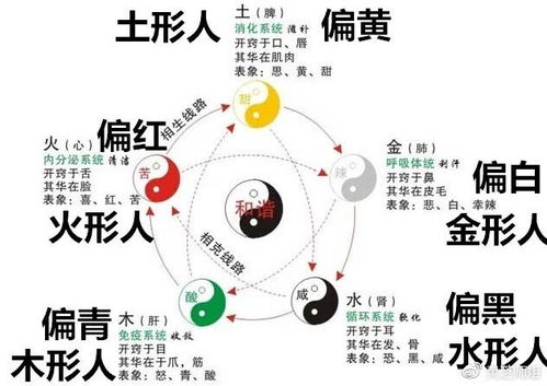 三才之道与阴阳二气的象征对应