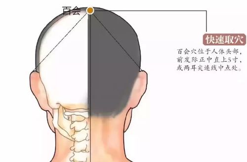 3. 十二宫位