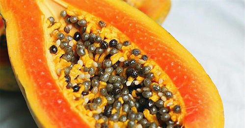 医学专家意见汇总