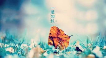 风水布局与空间范围阴阳失衡论证