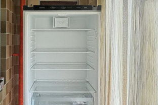 西门子十字对开门四门冰箱，八字四门设计，如何选购最合适？