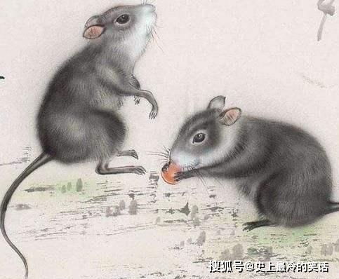 属猪属鼠八字配对如何？女儿属鼠八字缺木取何名最宜？