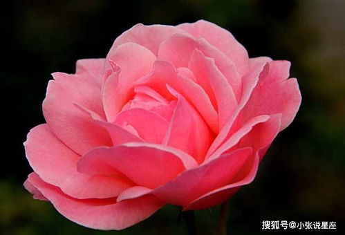 游客评论笑到肚子痛！