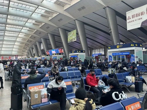 全州南站旅游客流高峰：一场混乱的狂欢