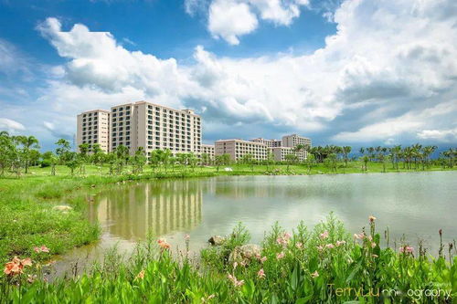 情境创设：移步换景，身临其境