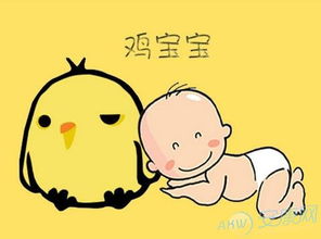 正月鸡宝宝起名