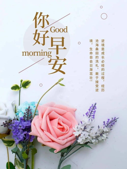 3月30日星期四，癸卯年闰二月初九，如何早安心语为长尾？