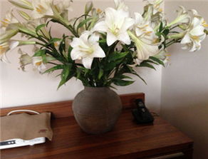 五、花生与风水的特殊寓意