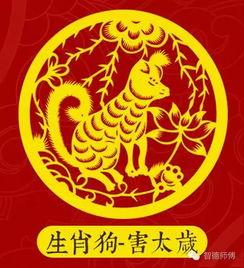 明年本命生肖是什么？明年哪些生肖男有大喜事？